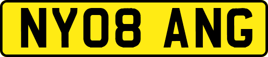 NY08ANG