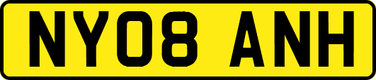 NY08ANH