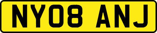 NY08ANJ