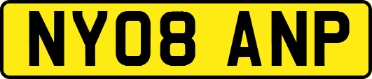 NY08ANP