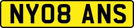 NY08ANS