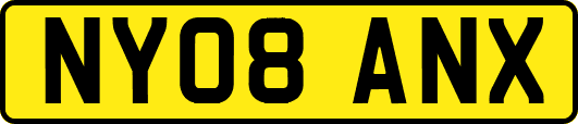 NY08ANX