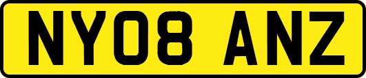 NY08ANZ