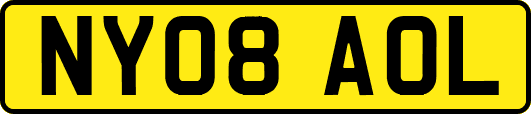 NY08AOL