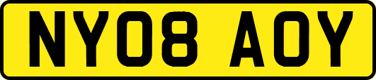 NY08AOY