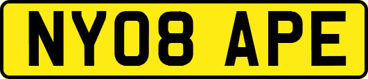 NY08APE