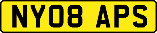 NY08APS
