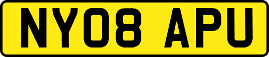 NY08APU
