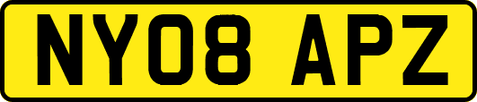 NY08APZ