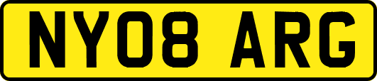 NY08ARG