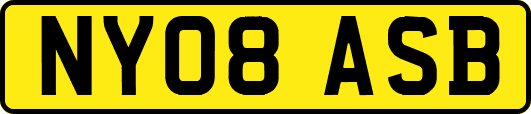 NY08ASB