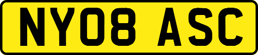NY08ASC