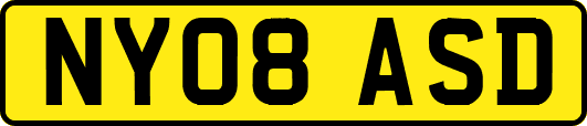 NY08ASD