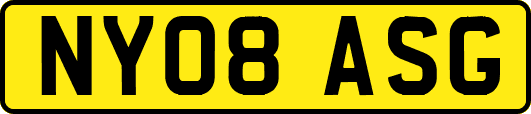 NY08ASG