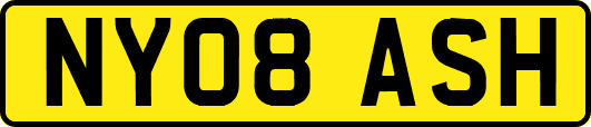 NY08ASH