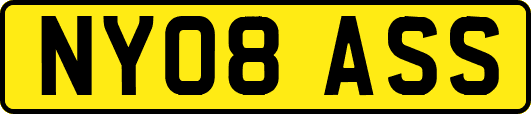 NY08ASS
