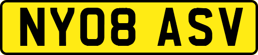 NY08ASV