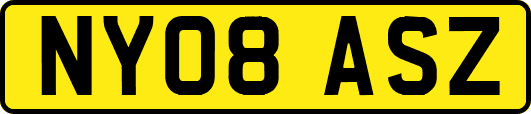NY08ASZ