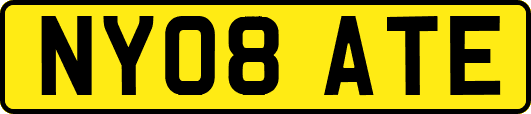 NY08ATE