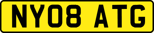 NY08ATG