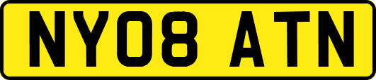 NY08ATN