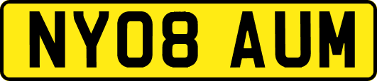 NY08AUM