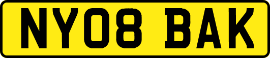 NY08BAK