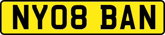 NY08BAN