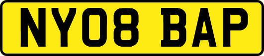 NY08BAP