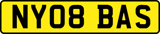 NY08BAS