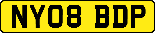 NY08BDP