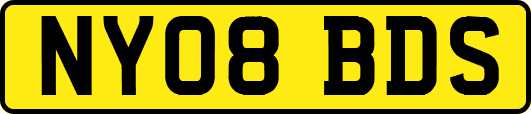 NY08BDS