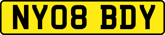 NY08BDY