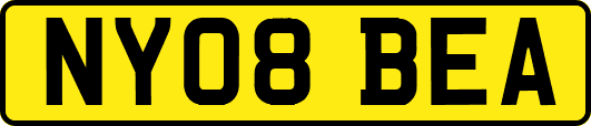 NY08BEA