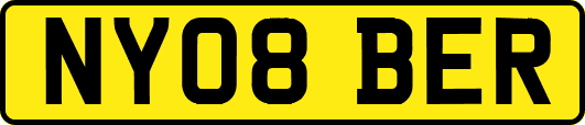 NY08BER