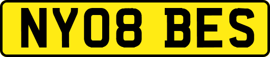 NY08BES