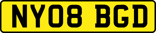 NY08BGD