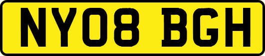 NY08BGH