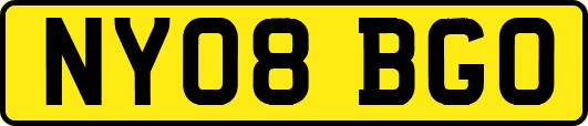 NY08BGO