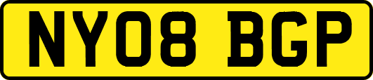 NY08BGP