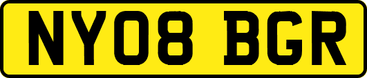NY08BGR
