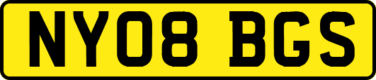 NY08BGS