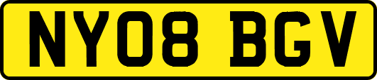 NY08BGV