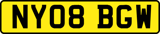 NY08BGW