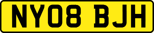 NY08BJH