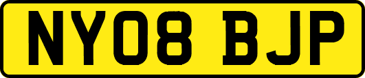 NY08BJP