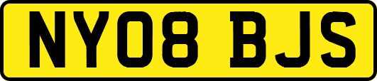 NY08BJS