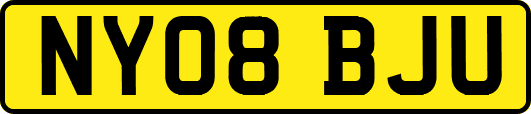 NY08BJU