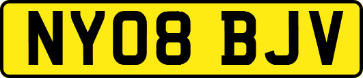 NY08BJV