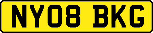 NY08BKG